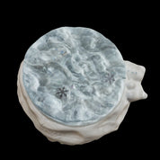 【Glaciers and Bears】Squishy Stress Relief Toy
